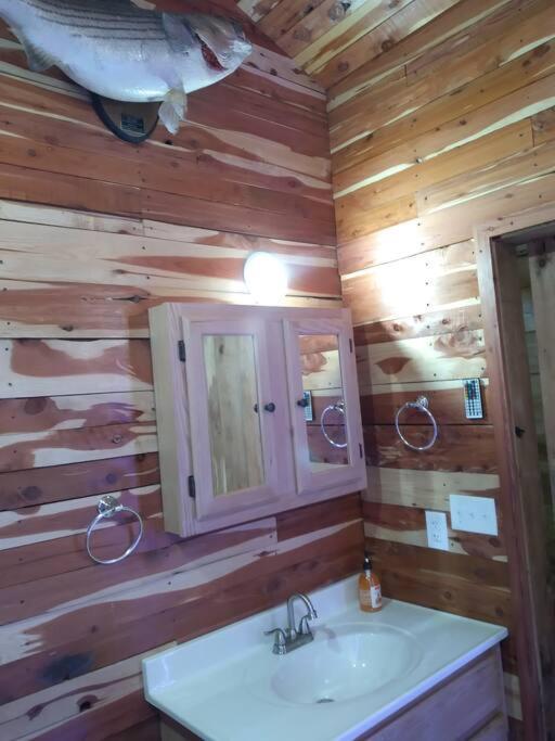 Cabin With A Tree House On A Buffalo Farm . Marshall Exterior photo
