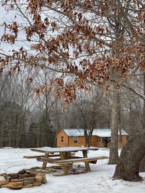 Cabin With A Tree House On A Buffalo Farm . Marshall Exterior photo